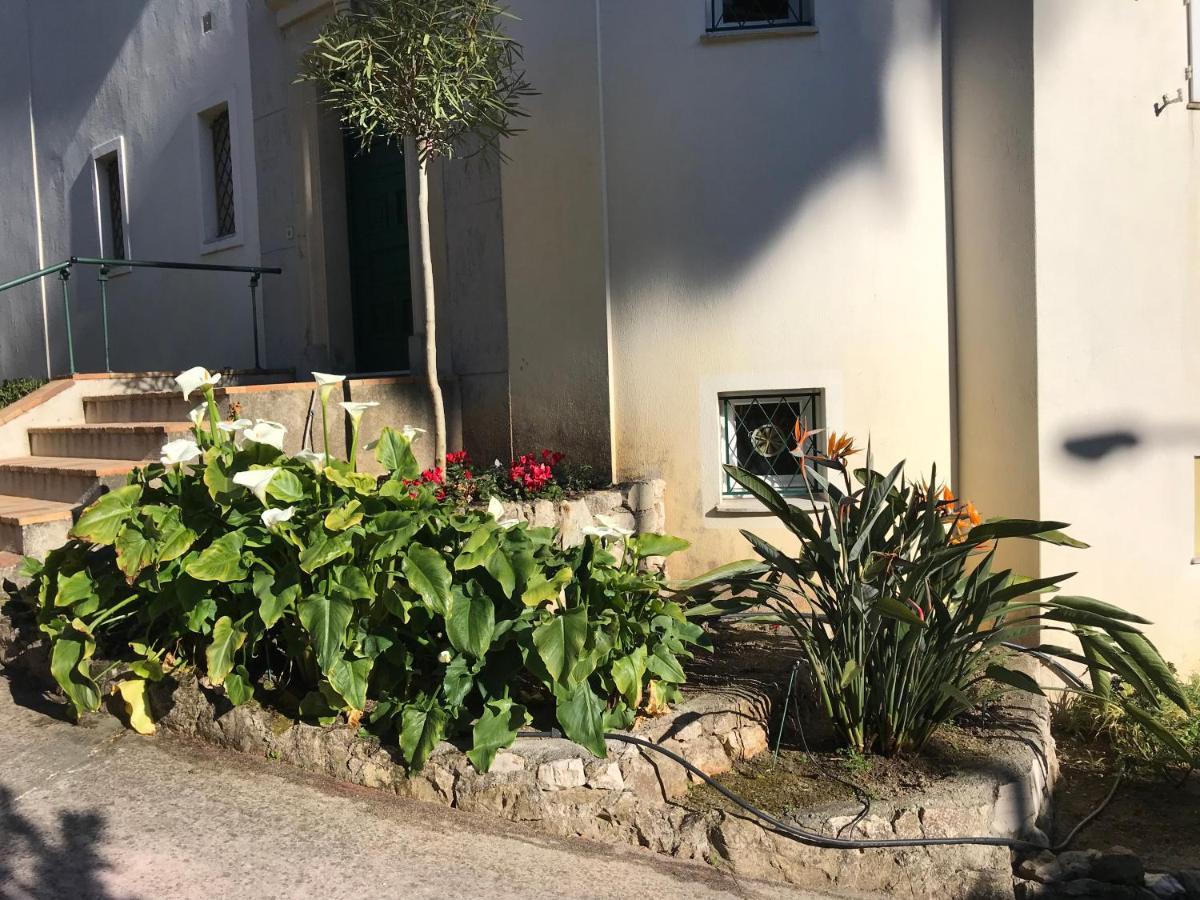 "L'Olivadou" St Jean Cap Ferrat Apartment Saint-Jean-Cap-Ferrat Exterior photo